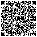 QR code with Psychedelic Music LLC contacts