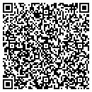 QR code with Print Museum contacts