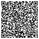 QR code with Pwd Systems LLC contacts