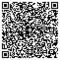 QR code with S Chow contacts