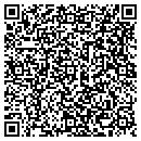 QR code with Premiere Insurance contacts