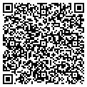 QR code with Pink's contacts