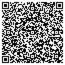 QR code with Briscoes Auto And Repair contacts