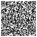 QR code with Ppe Construction LLC contacts