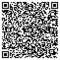 QR code with Kiwi's contacts