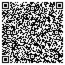 QR code with Precise Services contacts