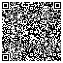 QR code with Provident Insurance contacts