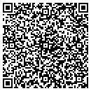 QR code with PTS Aviation Inc contacts
