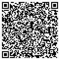 QR code with Lewbee contacts