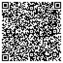 QR code with Cyclone Vending contacts
