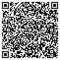 QR code with Findog contacts