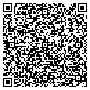 QR code with custom didplays contacts