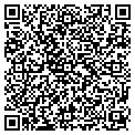 QR code with Litini contacts