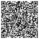 QR code with Publix contacts