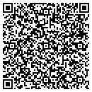 QR code with Problem Solvers contacts