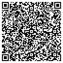 QR code with Promisedland LLC contacts