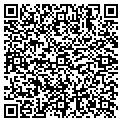 QR code with Dingley Assoc contacts