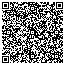 QR code with Premium Computers contacts