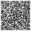 QR code with Public School 241 contacts