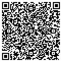 QR code with Wilton contacts