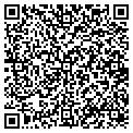 QR code with Shell contacts