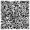 QR code with Pyramid Construction contacts