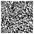 QR code with Premier Electric contacts