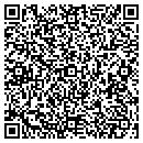 QR code with Pullis Electric contacts