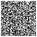 QR code with Pvs Electric contacts