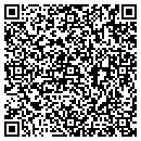 QR code with Chapman Schewe Inc contacts
