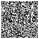 QR code with Carefree Electric Inc contacts