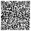 QR code with Dig Insurance contacts