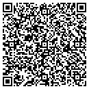 QR code with Cmj Construction Inc contacts