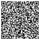 QR code with Bluelicious Delights contacts