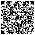 QR code with Vital Spark LLC contacts
