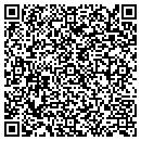 QR code with Projectone Inc contacts