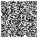 QR code with Collins Construction contacts