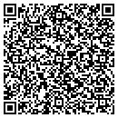 QR code with Constantin Associates contacts