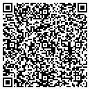 QR code with Carter Construction contacts