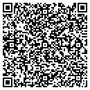 QR code with Cyberfieds Com contacts