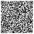 QR code with Punzal Jr Emilio A MD contacts