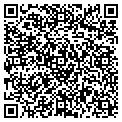 QR code with Onsite contacts