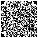 QR code with Curtis H Caulkins Jr contacts