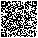 QR code with Willis contacts