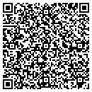 QR code with Carrier Construction contacts