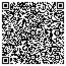 QR code with Promise Land contacts