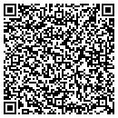 QR code with Pp Oplus LLC contacts