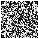 QR code with Cecchi Construction contacts