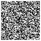 QR code with Professional Electric Inc contacts