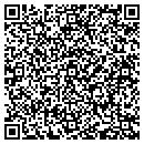 QR code with Pw Wells Interprises contacts